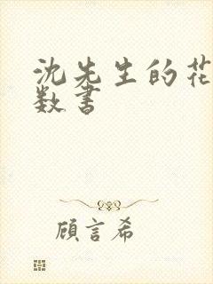 沈先生的花式调数书封面