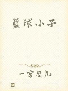 篮球小子