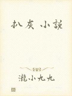 扒灰 小说