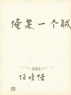 俺是一个贼封面