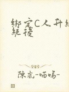 绑定C人升级系统后