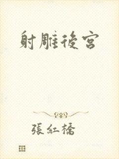 射雕后宫封面