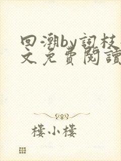 回潮by词枝全文免费阅读笔趣阁封面