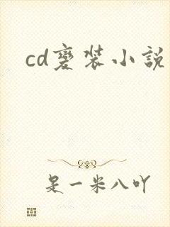 cd变装小说