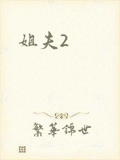 姐夫2