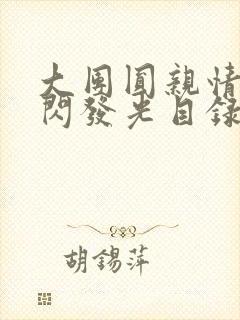 大团圆亲情会闪闪发光目录封面