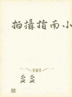拍摄指南小说