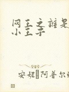 网王之谁是我的小王子
