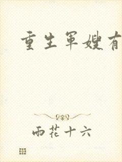重生军嫂有空间