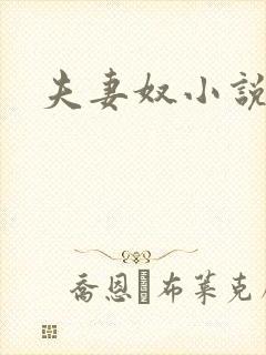 夫妻奴小说封面