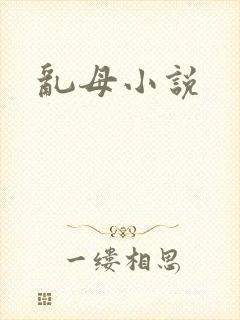 乱母小说封面