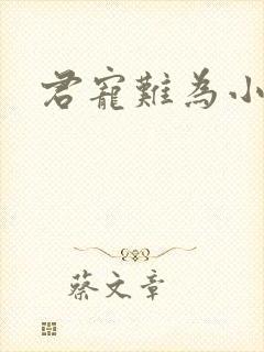 君宠难为小说封面