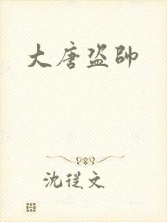 大唐盗帅
