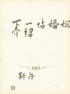 下一站婚姻剧情介绍