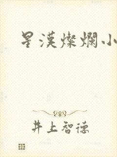 星汉灿烂小说