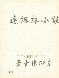连裤袜小说封面