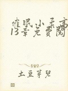 催眠小柔高达第13章免费阅读封面