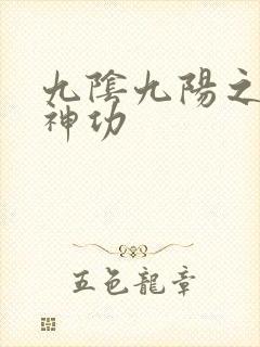 九阴九阳之阴阳神功封面