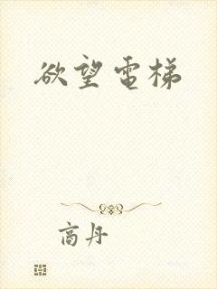 欲望电梯