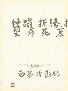 糟蹋 折腾 撕裂 疼 死 哀求