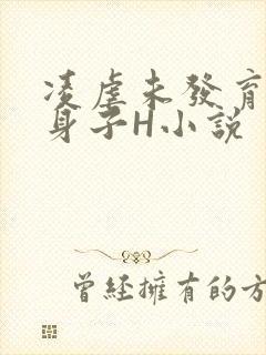 凌虐未发育的小身子H小说