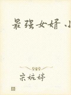 最强女婿 小说