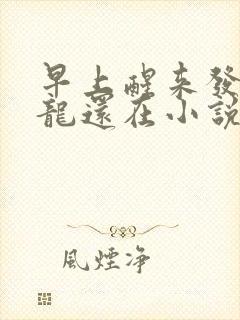 早上醒来发现巨龙还在小说