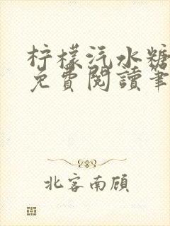 柠檬汽水糖全文免费阅读笔趣阁封面