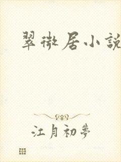 翠微居小说封面