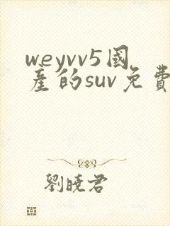 weyvv5国产的suv免费封面