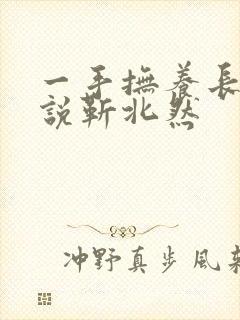 一手抚养长大小说靳北然封面