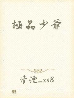 极品少爷