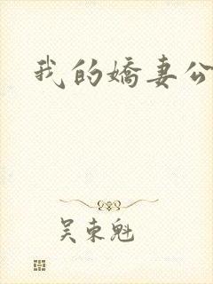 我的娇妻公务员