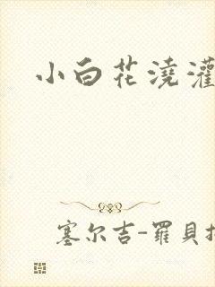 小白花浇灌日常封面