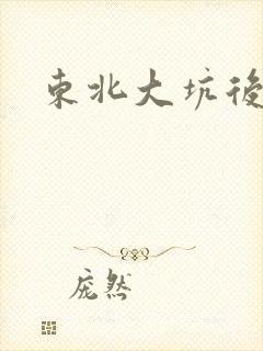 东北大坑后续2