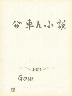 公车h小说