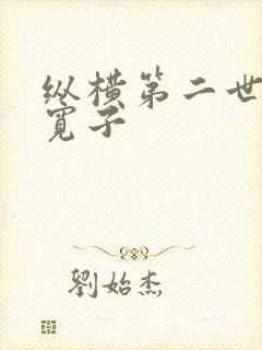 纵横第二世界 宽子封面