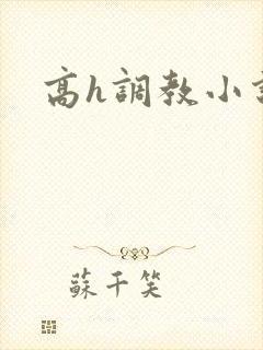 高h调教小说
