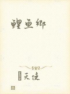 鲤鱼乡封面