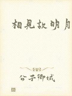相见故明月