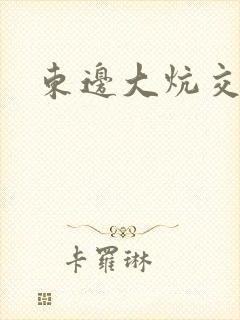 东边大炕交换