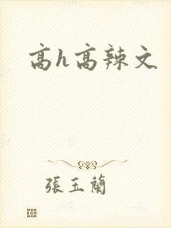 高h高辣文