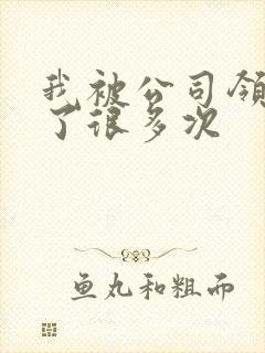 我被公司领导C了很多次