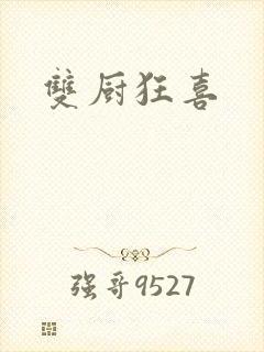 双厨狂喜