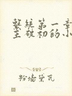 系统第一章给宿主破初的小说
