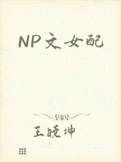 NP文女配