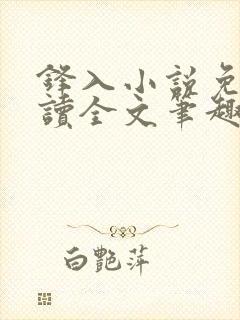 锋入小说免费阅读全文笔趣阁