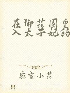 在御花园皇上进入太子妃的小说封面
