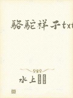 骆驼祥子txt