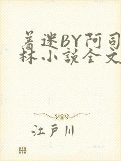 着迷BY阿司匹林小说全文免费阅读